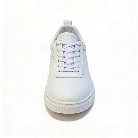 shoes baskit